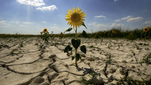 В Крыму – катастрофическая ситуация с водой, Путин готовит Украине ультиматум – СМИ