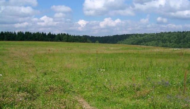 Под Киевом незаконно «изъяли» 41 гектар земли