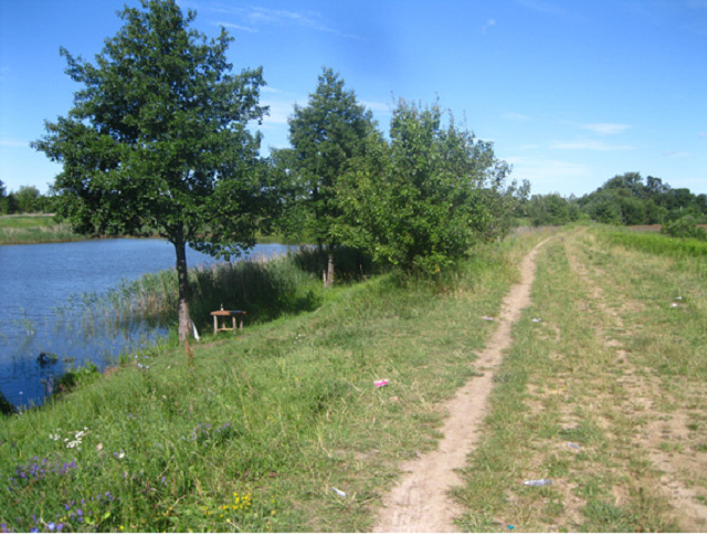 На Житомирщине мужчина ранил рыбака из ружья в живот