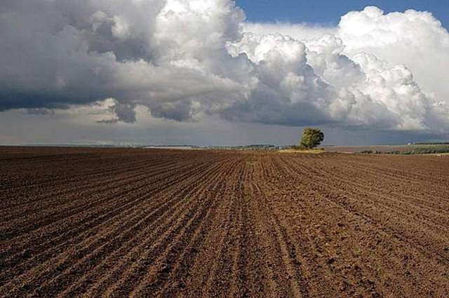 Черкаська земля задарма – олігархам часів Януковича досі закони не писані