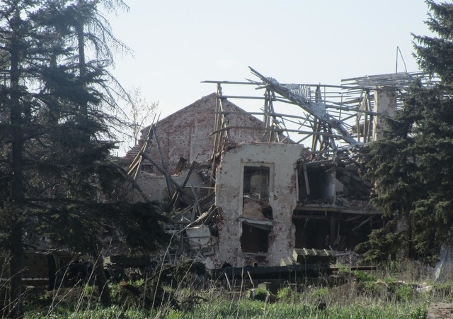 Разруха и бродячие псы: опубликованы фото руин элитного поселка под Донецком