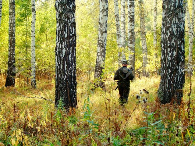 Фірмі помічників нардепа Москаленка збільшили площу мисливських угідь