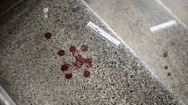 Мир потрясло жуткое убийство в Израиле