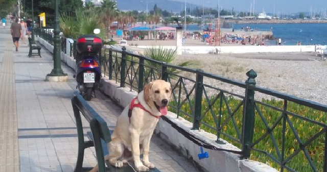 Как отдохнуть на море в ЕС 7-12 дней и потратить 100-150 евро