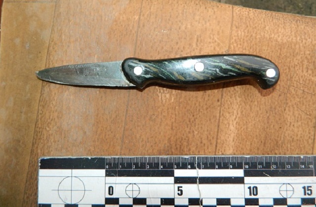 В Харьковской области 34-летняя женщина убила собственного сожителя