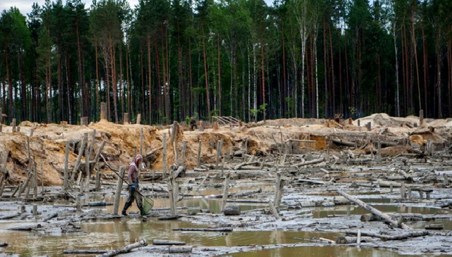 На янтарном рынке Украины заканчивается большой передел