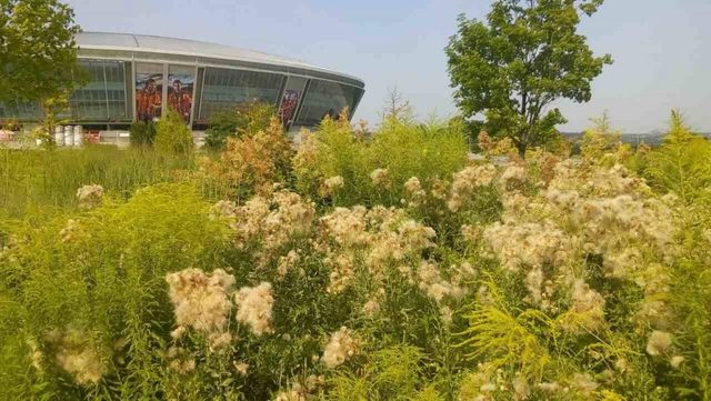 Блогер выложил в сеть снимки окуппированного Донецка: от увиденного становится страшно