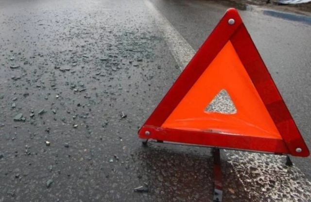 На Львовщине мужчина сбил внука: подробности ужасного ДТП