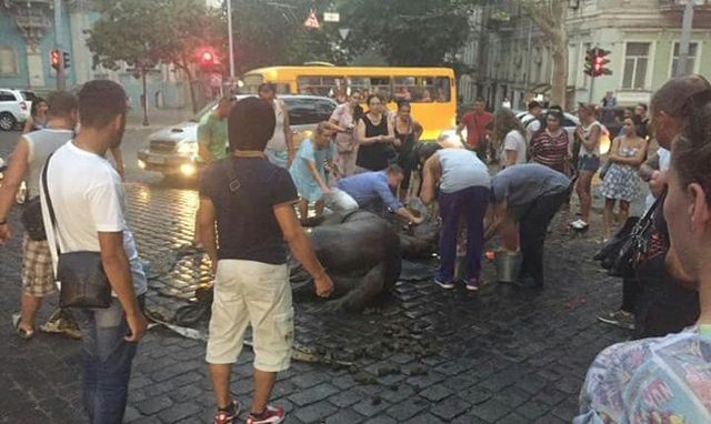 В Одессе довели до изнеможения лошадь, запряженную в туристическую карету