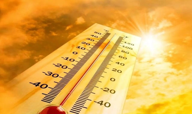 У небывалой жары появилась еще одна «жертва»