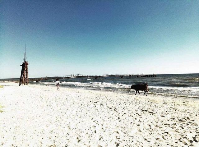 Не хуже Гоа: В Николаевской области нашли шикарный пляж