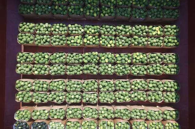 Кияни радіють кавунам з баржі