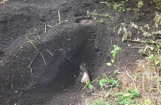 В Одесской области парень убил своего товарища, а труп закопал в лесу