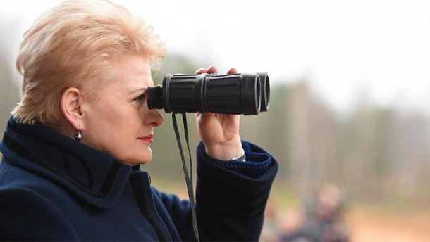 Отказ Грибаускайте от общения с Порошенко – признак разочарования в Украине