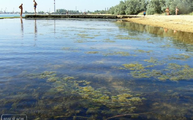 Жители Крыма жалуются на воняющее фекалиями море