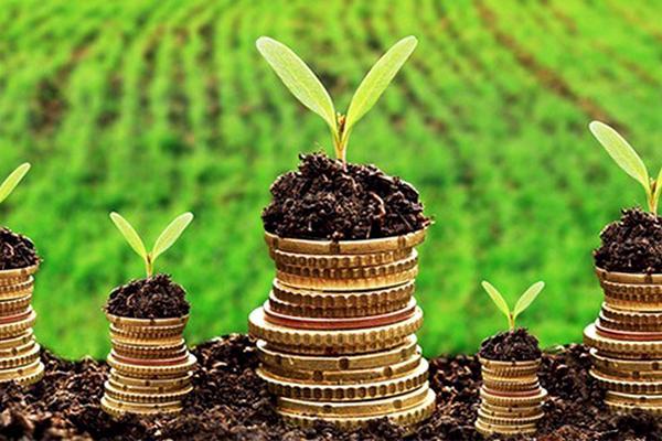 Экспансия. Как трансформирутся украинский АПК