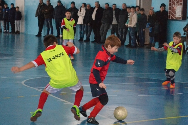 В Украине сохранилось меньше 20 государственных ДЮСШ