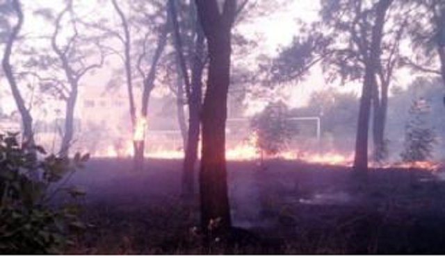 В Авдеевке серьезный пожар возле школы