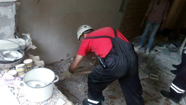 В Киеве дерево рухнуло на припаркованную иномарку