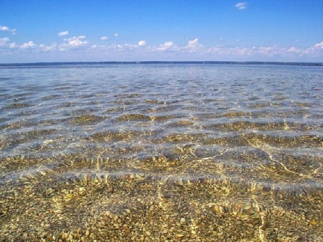 Сеть поразил рассказ об отдыхе на курорте Азовского моря