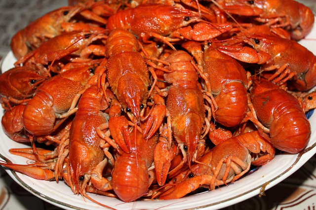 В четырех областях Украины запретили ловить раков