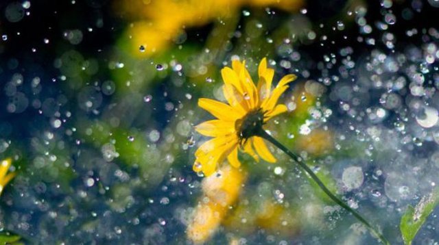 Стало известно, когда в Украине спадет тропическая жара