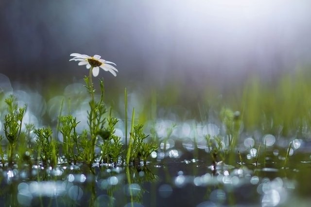 Идет серьезный фронт: синоптик дала прогноз погоды в Украине на начало недели