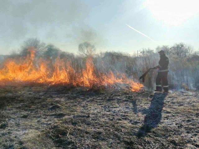 На Миколаївщині затримали двох молодиків, які влаштували масштабну лісову пожежу