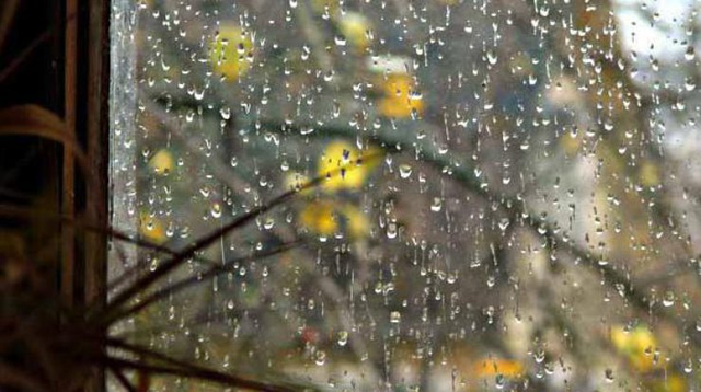 Украину накроют дожди и придет похолодание