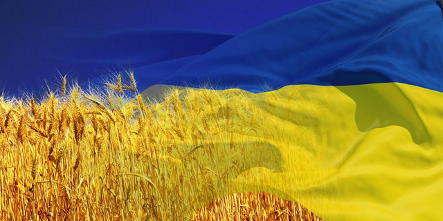 Патриотами Украины считают себя 83% граждан, – опрос