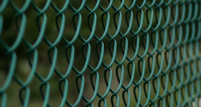 Польша решила построить забор на границе с Украиной и Беларусью