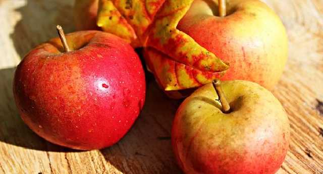 В Украину возвращается 30-градусная жара