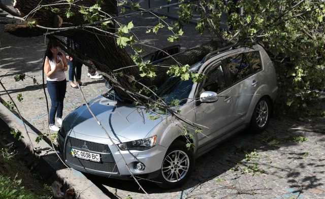 Упавшее дерево раздавило джип нардепа от "БПП"