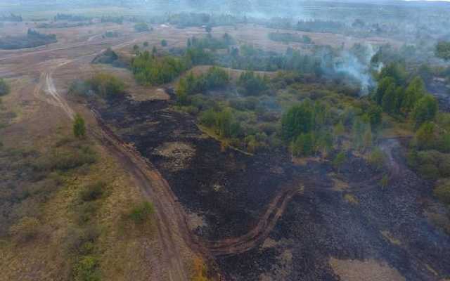 В Черкасской области второй день не могут погасить торфяник: объявили ЧП