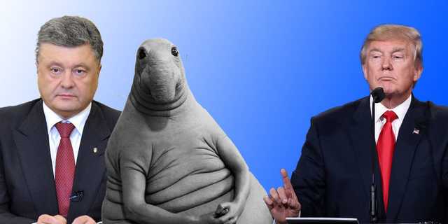 Порошенко придумал, как вернуть Крым: ищет “группу друзей”