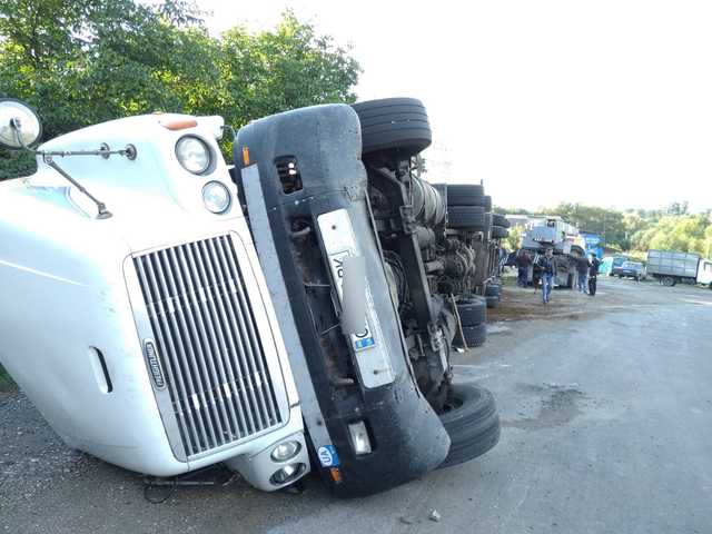 Под Хмельницким опрокинулась фура с коровами, 11 животных погибли