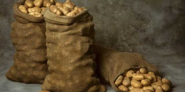 Эксперты рассказали, что будет с ценами на картофель к зиме