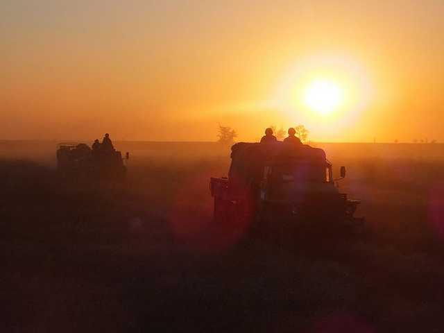Бойцы АТО дали отпор боевикам под Зайцево