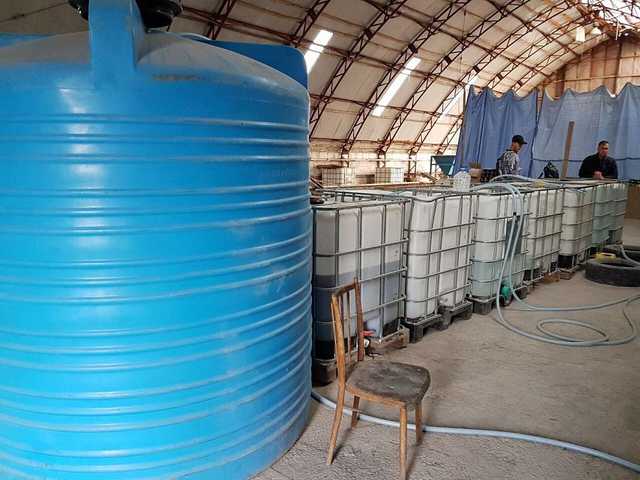 Под Киевом 12 тонн ядовитого алкоголя продавали под видом элитного виски