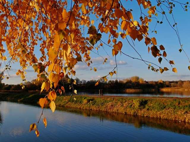 Бабье лето вернется в Киев в октябре