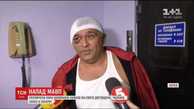 Стала известна причина нападения обезьян на смотрителя харьковского зоопарка