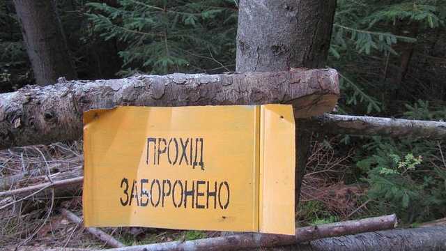 Порошенко и депутаты возродили славную традицию Януковича