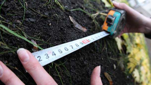 Земельная реформа: что ждет украинцев и стоит ли опасаться