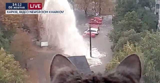 В Харькове из-под земли бьет 15-метровый фонтан