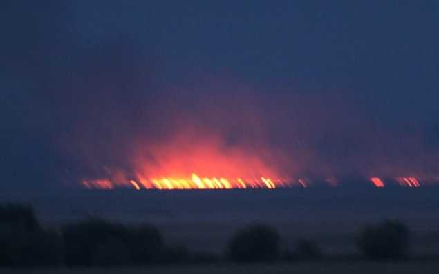 В Одесской области охотники подожгли Нижнеднестровский национальный парк