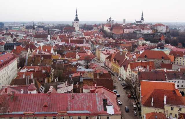 Заробітчанська мафія: як закарпатців у ЄС "кидають" на гроші