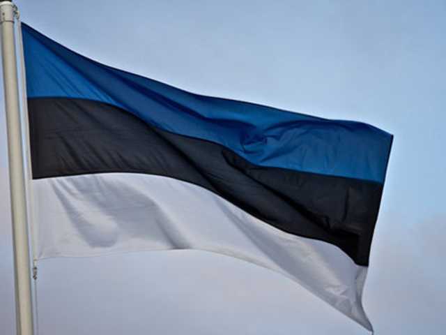 Закон про освіту: Естонія відповіла на скандальну пропозицію Угорщини по Україні