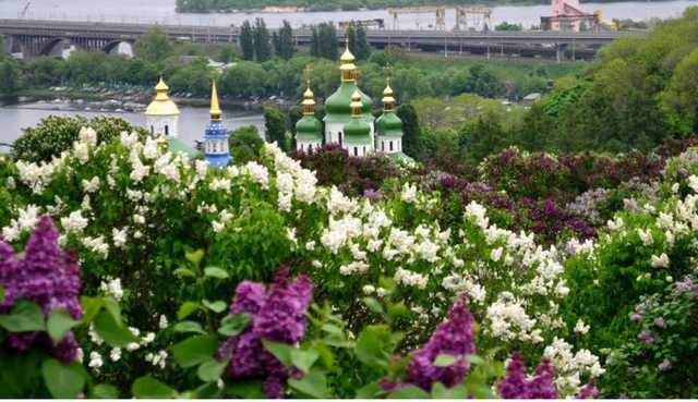 Директор Национального ботсада забыла задекларировать свой бизнес