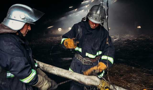 На Тернопільщині під час пожежі загинули десятки тисяч курчат