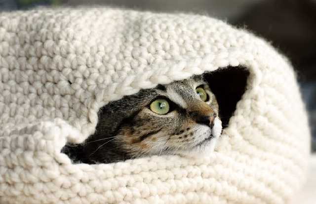 На Україну чекає значне зниження температури, - синоптик